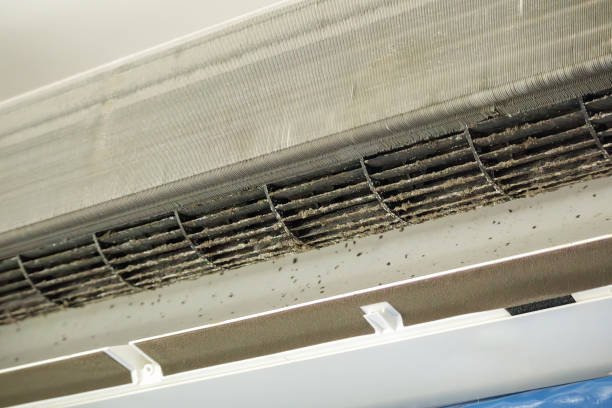 Best Commercial Air Duct Cleaning  in Elk Mound, WI