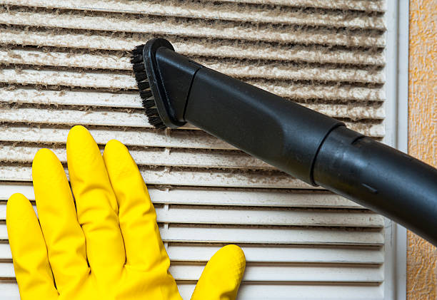 Best Residential Air Duct Cleaning  in Elk Mound, WI